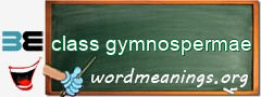 WordMeaning blackboard for class gymnospermae